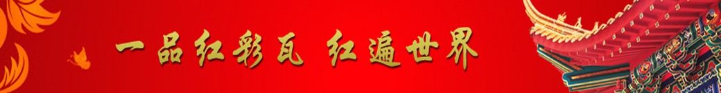 專業(yè)能力 Professional Competence